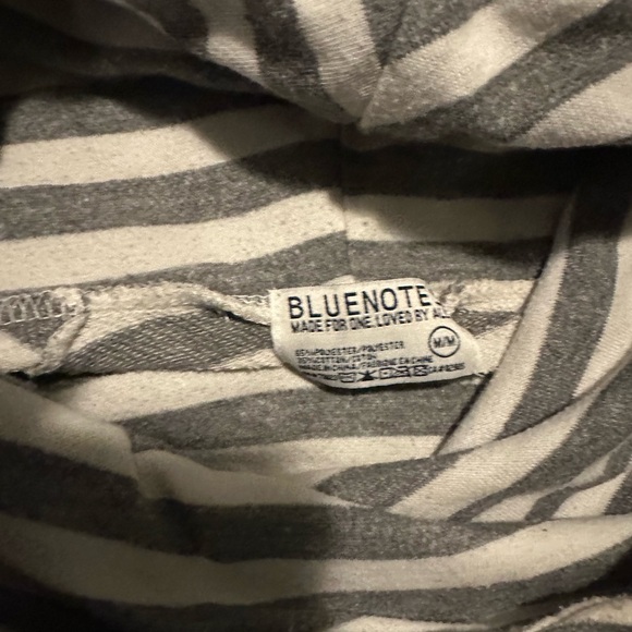 ⭐️ 3 for $15.00 ⭐️ Bluenote Striped Hoodie - Picture 3 of 3